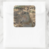Sticker Carré Merci écureuil de sol Photo Animal du désert (Sac)