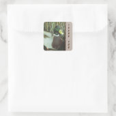 Sticker Carré Merci Mallard Canard Photo Nature Oiseaux (Sac)