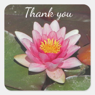 Sticker Carré Merci Simple Lys d'Eau Rose Polyvalent