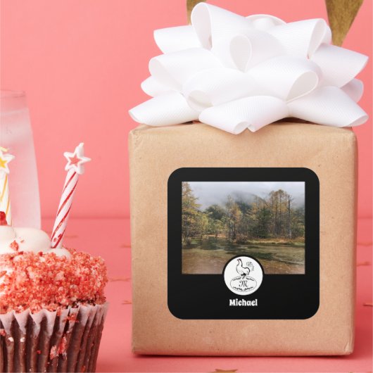 Sticker Carré Mère Hen Nesting Nom Balise Oeuf Photo (Fête)