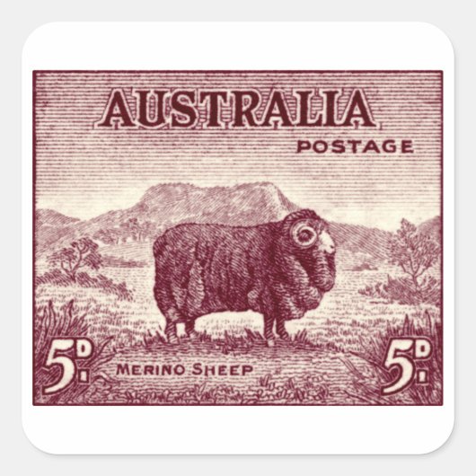 Sticker Carré Merino Sheep australien 1934 (Devant)