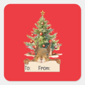Sticker Carré Merry Christmas Squirrel Christmas Tree To From (Devant)