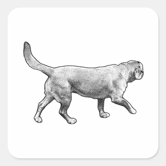 Sticker Carré mesh-tone pace (Devant)