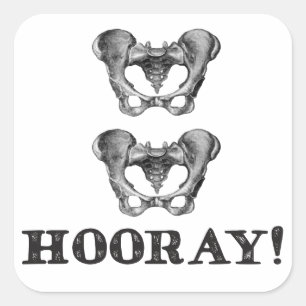 Sticker Carré Message d'anatomie Hip Hip Hooray
