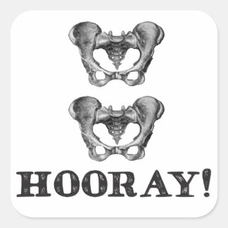Sticker Carré Message d'anatomie Hip Hip Hooray