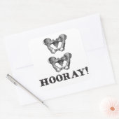 Sticker Carré Message d'anatomie Hip Hip Hooray (Enveloppe)