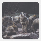 Sticker Carré Meute de loups (Devant)