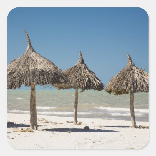 Sticker Carré Mexique, péninsule du Yucatan, Progreso. Thatch (Devant)