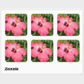 Sticker Carré Michigan, décarborn. Détail de Pink Hibiscus (Feuille)