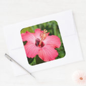 Sticker Carré Michigan, décarborn. Détail de Pink Hibiscus (Enveloppe)