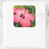 Sticker Carré Michigan, décarborn. Détail de Pink Hibiscus (Sac)