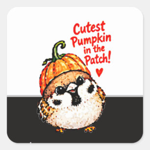 Sticker Carré Mignon Chibi Moineau Oiseau Halloween Citrouille