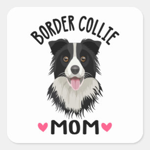Sticker Carré Mignon Chien Amoureux Border Collie Noir Blanc C
