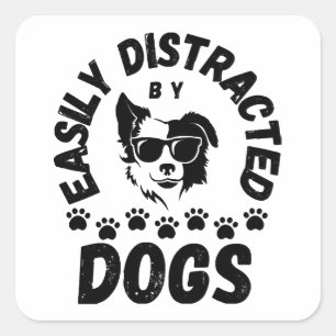 Sticker Carré Mignon facilement distrait par les chiens amateurs