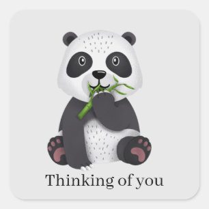 Sticker Carré mignon ours panda penser à toi