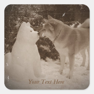 Sticker Carré mignonne akita embrasser le chien de neige bonhomm