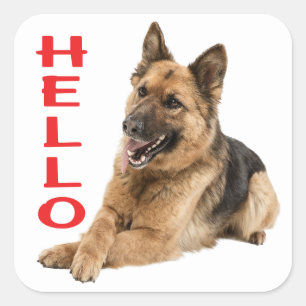 Sticker Carré Mignonne berger allemand Bonjour Chien chiot