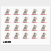 Sticker Carré Mignonne Chien Chien Chien Coquelet Maltais Blancs (Feuille)