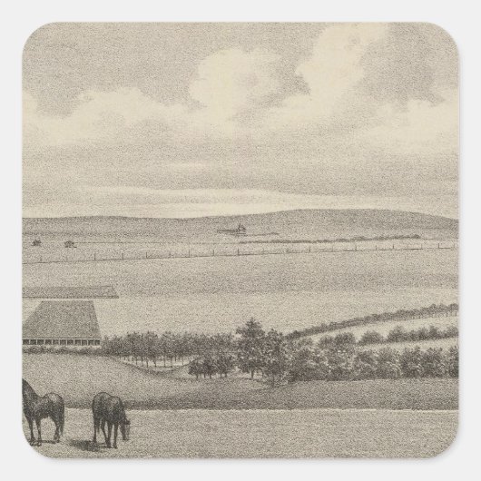 Sticker Carré Mill Brae Ranch, Kansas (Devant)