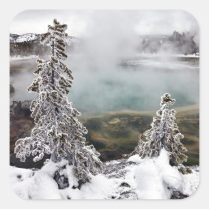 Sticker Carré Milou Yellowstone