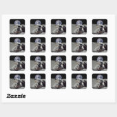 Sticker Carré Mine La Lune (Feuille)