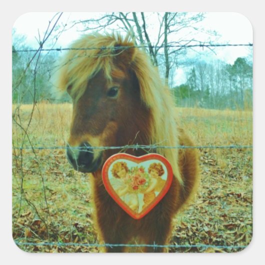 Sticker Carré Miniature cheval Brown Valentine Heart (Devant)