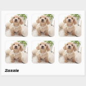 Sticker Carré Miniature Dachshund (Feuille)