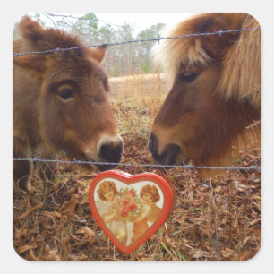 Sticker Carré Miniature Donkey & Horse Valentine Heart