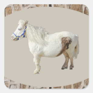 Sticker Carré Miniature poney mini CHEVAL BLANC petit animal