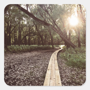 Sticker Carré minnesota du sentier du point de sable