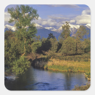 Sticker Carré Mission Creek traverse le National Bison