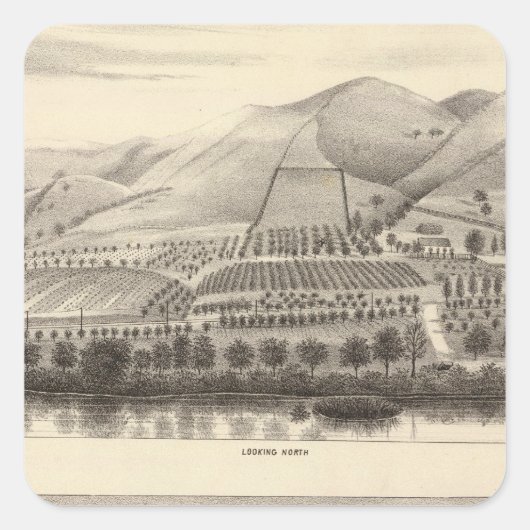 Sticker Carré Mizzen Top Rancho (Devant)