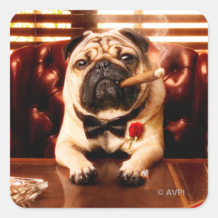 Sticker Carré Mobster Dog