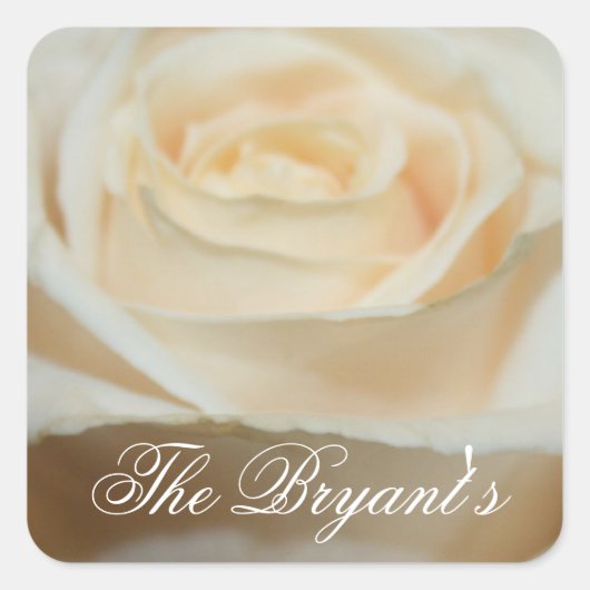 Sticker Carré Modèle crémeux Rose blanche (Devant)