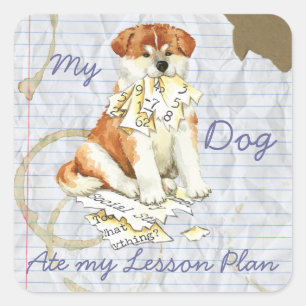 Sticker Carré Mon Akita Mange Mon Plan De Leçon