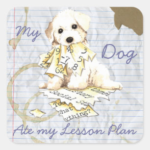 Sticker Carré Mon Bichon Frise A Mangé Mon Plan De Leçon