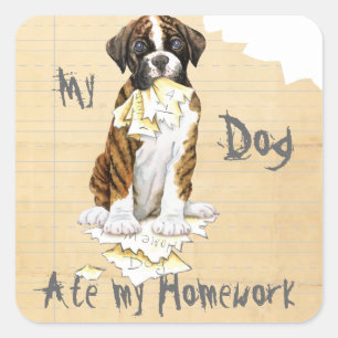 Sticker Carré Mon Boxer A Mangé Mes Devoirs