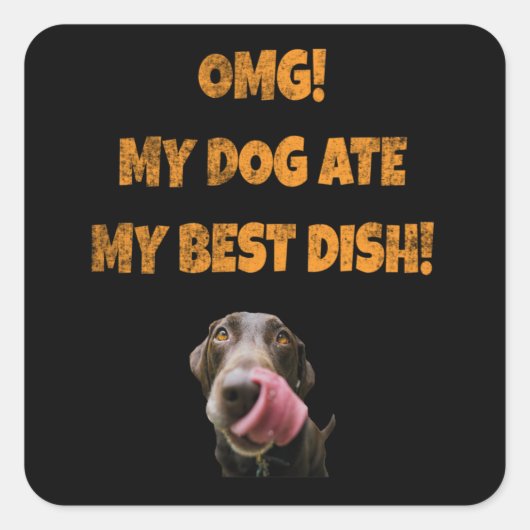 Sticker Carré Mon chien a mangé mon meilleur botte en acier inox (Devant)