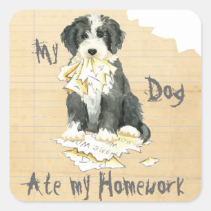 Sticker Carré Mon Collie Porté A Mangé Mes Devoirs