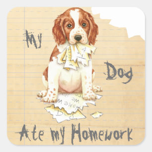 Sticker Carré Mon Gallois Springer a mangé mon travail