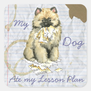 Sticker Carré Mon Keeshond a mangé mon plan de leçon