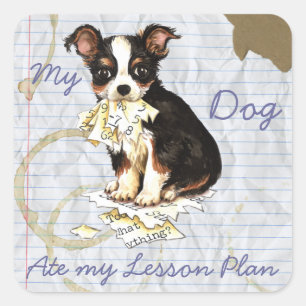Sticker Carré Mon long manteau Chihuahua Mangé Mon plan de leçon