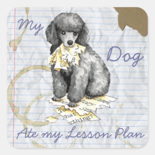 Sticker Carré Mon Petit Poodle A Mangé Mon Plan De Leçon