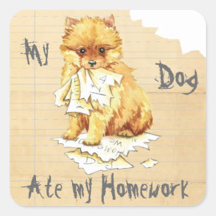 Sticker Carré Mon Poméranien Mangé Mes devoirs