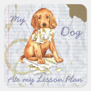 Sticker Carré Mon Setter irlandais a mangé mon plan de leçon