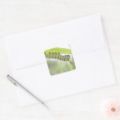 Sticker Carré Monarque Papillon Caterpillar À La Recherche D'Un  (Enveloppe)