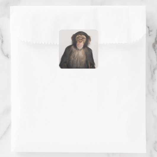 Sticker Carré Monkey (Sac)