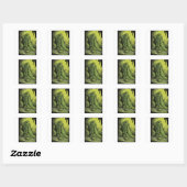 Sticker Carré Monstre mince vert (Feuille)