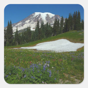 Sticker Carré Mont Rainier, Fleurs sauvages et Neige
