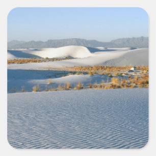 Sticker Carré Monument national de White Sands, Dunes transversa